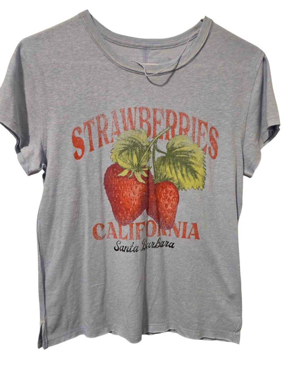 Free People We The Free Nova Organic Cotton Strawberry Graphic Tee *Current* - Picture 3 of 6